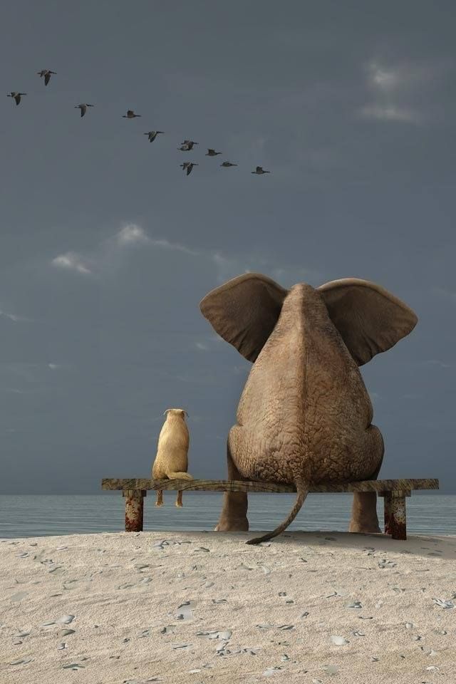 Sepotong Sajak buat&nbsp;Sahabat