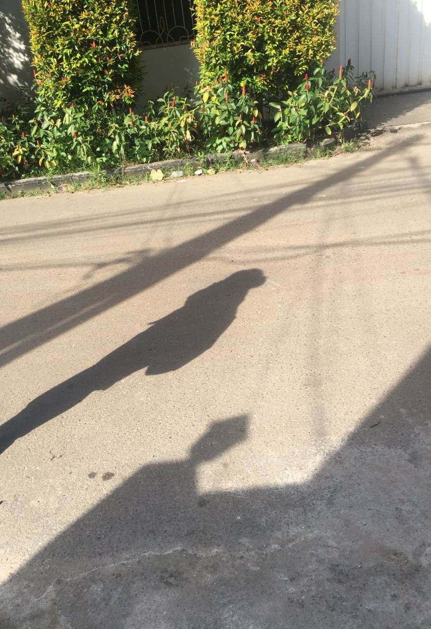 Might: not be&nbsp;me