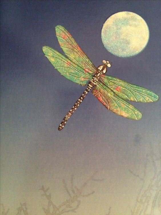 Capung atau Agar-agar