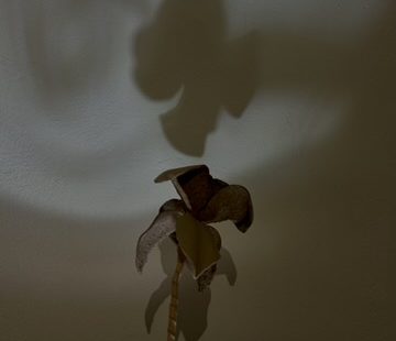 Love Eats Me&nbsp;Alive